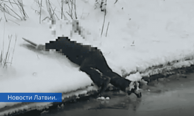 Видео: в Риге ребёнок чуть не провалился под лёд.