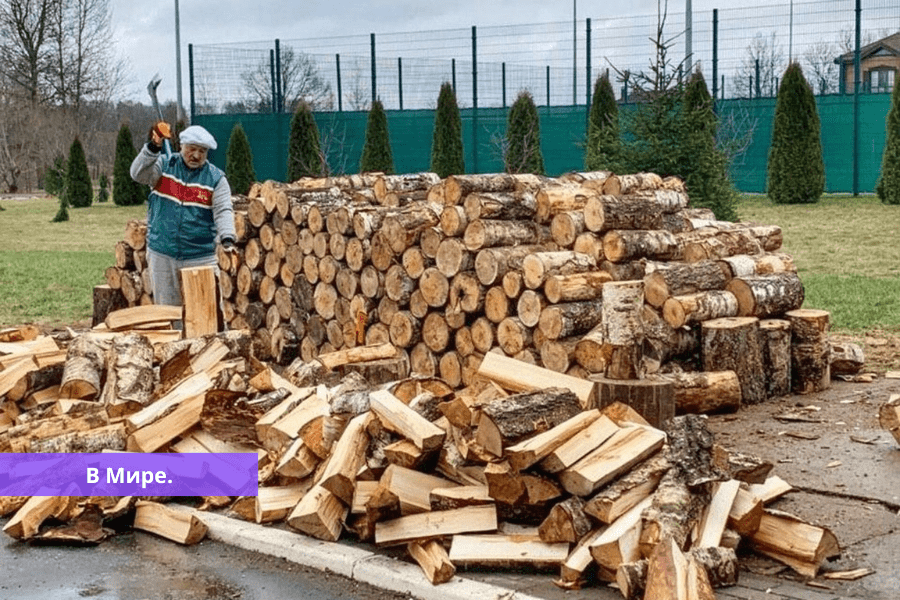 Лукашенко латыши рубят скамейки на дрова, у них там беда. ВИДЕО