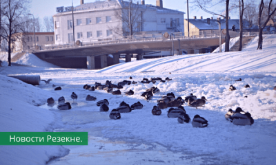 Доброе утро, Резекне! Прогноз погоды на сегодня, 17 декабря.