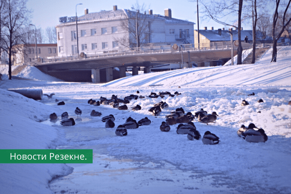 Доброе утро, Резекне! Прогноз погоды на сегодня, 17 декабря.