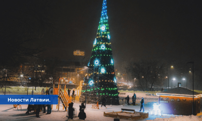 Рождественские праздники синоптики рассказали, какая погода нас ожидает.