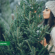 С 17 декабря в Резекне начинается продажа новогодних ёлок.