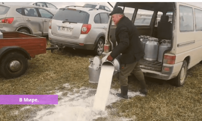Литовские фермеры уничтожают молоко в знак протеста (видео).