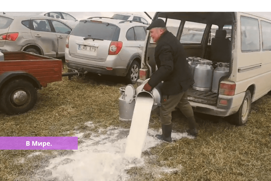 Литовские фермеры уничтожают молоко в знак протеста (видео).