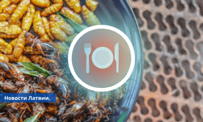 PVD производители продуктов питания должны будут указывать насекомых в списке ингредиентов.