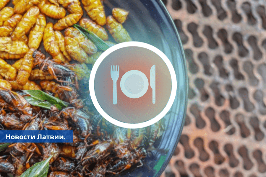 PVD производители продуктов питания должны будут указывать насекомых в списке ингредиентов.