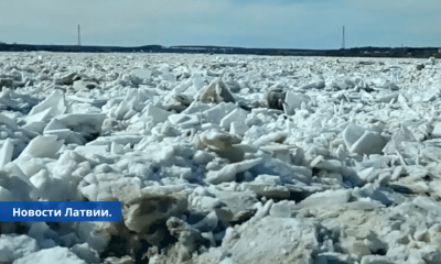 Уровень Даугавы между Екабпилсом и Плявиняс поднялся почти на три метра.