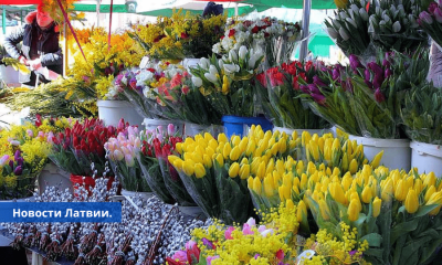 Торговцы: цены на цветы в Латвии за год выросли на 25-30%.