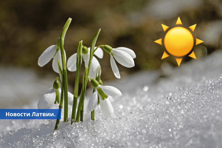 В Латвию пришла весна день стал длиннее ночи.