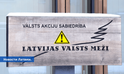 Все правление Latvijas valsts meži ушло в отставку. Почему