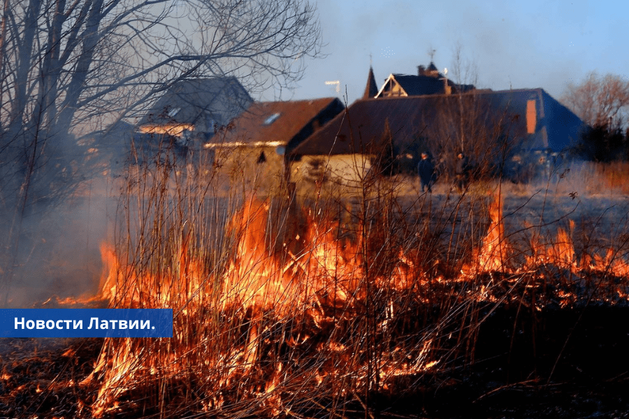 Люди продолжают поджигать старую траву: в среду зарегистрировано 26 пожаров.