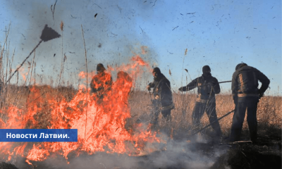 Пожарная служба Латвии напоминает о штрафах за сжигание травы.