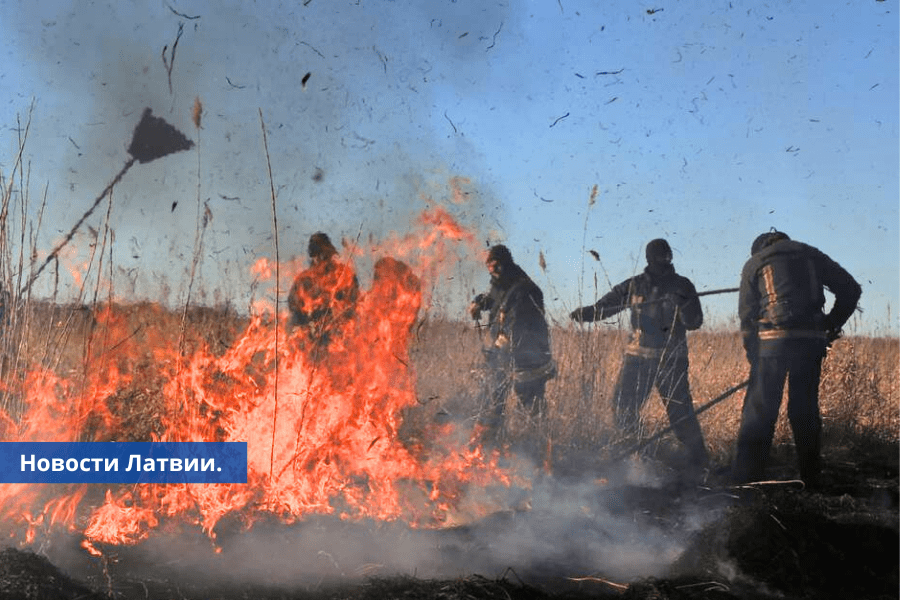 Пожарная служба Латвии напоминает о штрафах за сжигание травы.