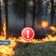 В Латвии с 1 мая начнется пожароопасный период.