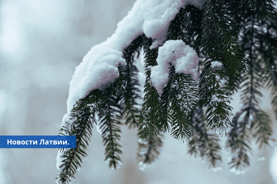 В ночь на среду на территории Латвии образуется снежный покров.
