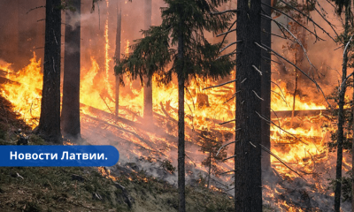 В Латвии полыхают лесные пожары.