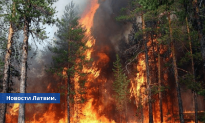 Жителей Латвии призывают к предельной осторожности велика опасность пожаров.