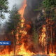 Жителей Латвии призывают к предельной осторожности велика опасность пожаров.