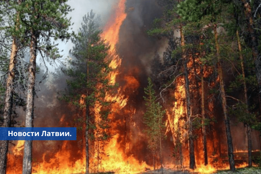 Жителей Латвии призывают к предельной осторожности велика опасность пожаров.