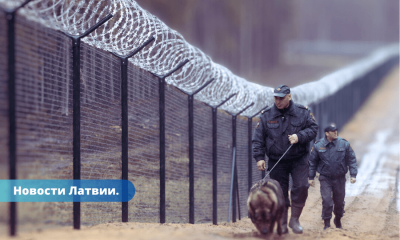 Найден способ ускорить строительство забора на границе с Беларусью.