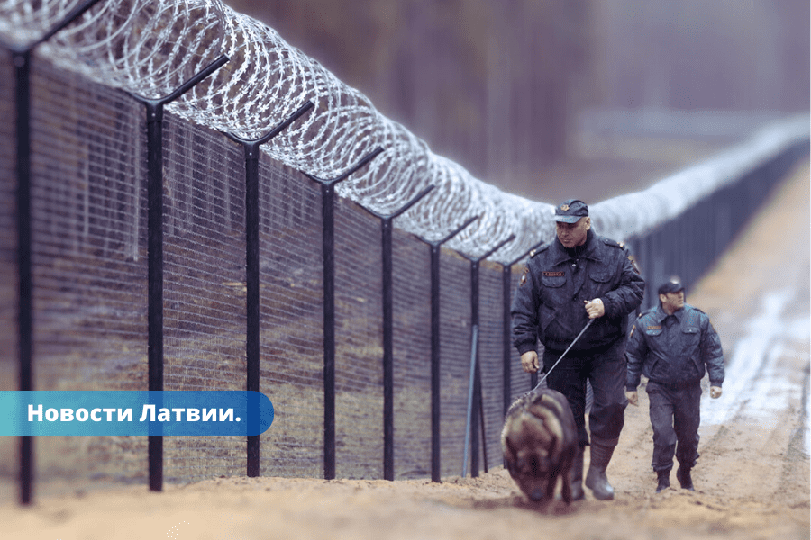 Найден способ ускорить строительство забора на границе с Беларусью.