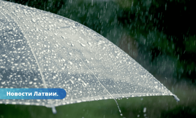 Ливни и грозы: синоптики рассказали о погоде во вторник.