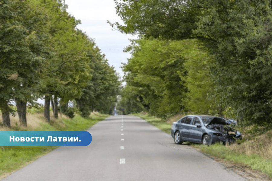 В Бауском крае водитель Opel врезался в дерево и погиб.