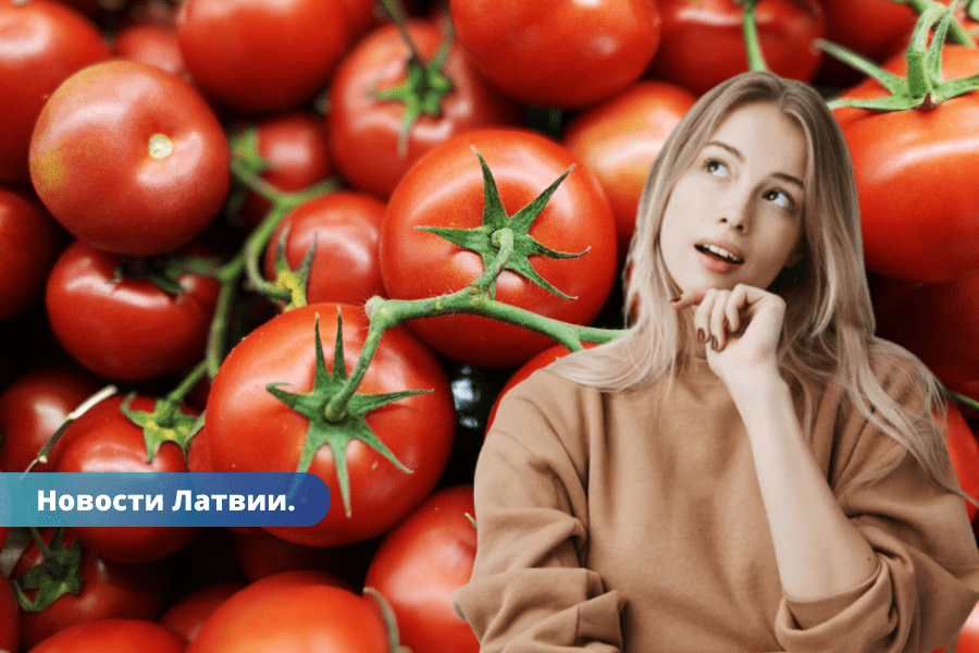 Kāpēc veikalā nopērkamie tomāti kļūst bezgaršīgi?