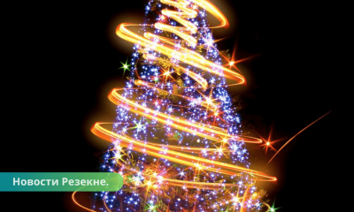 Резекне: в Фестивальном парке будет расти живая Рождественская ель.