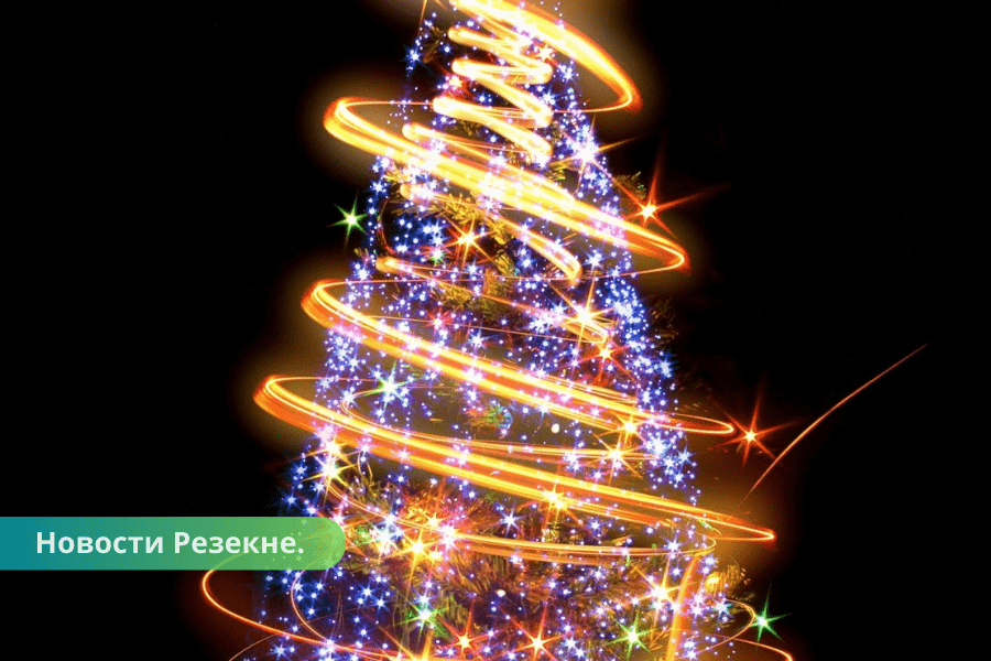 Резекне: в Фестивальном парке будет расти живая Рождественская ель.