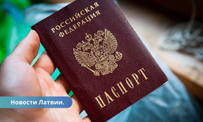 Собирают подписи против продления языкового экзамена для граждан России.