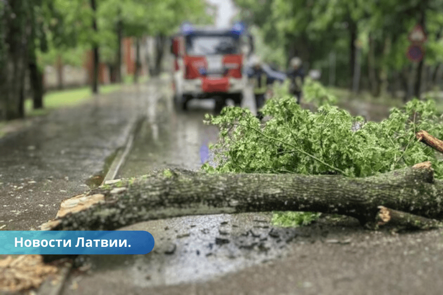 Vētras seku likvidēšanai Dobeles novadā nepieciešami 16,3 miljoni eiro.