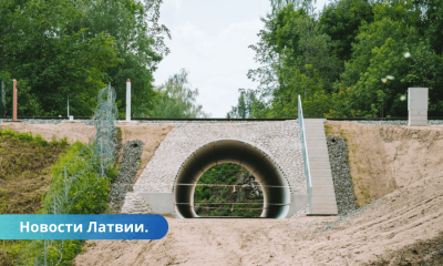 В эксплуатацию сдан тоннель на границе Латвии с Беларусью.