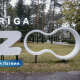 Рижский зоопарк сменил логотип. Не все пользователи Сети оценили его.