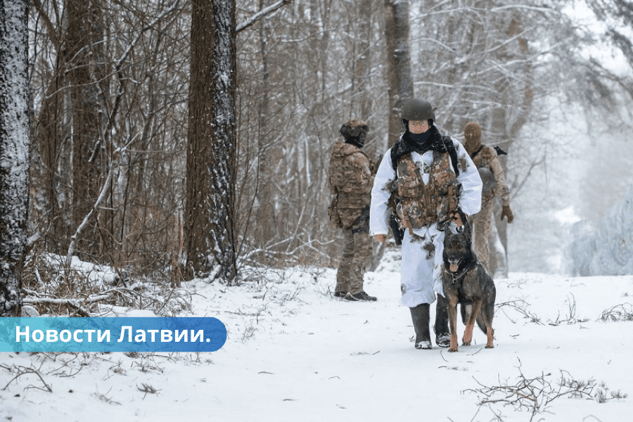 Ārkārtas situācija uz Latvijas robežas atrasti divu migrantu līķi.