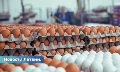 Латвийские бизнесмены бьют тревогу украинские яйца обкрадывают госбюджет страны.