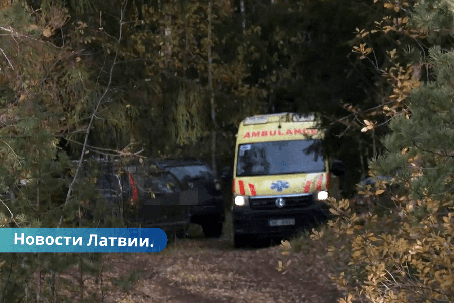 VIDEO ⟩ Jelgavas novada mežā, iespējams, atrasts miris mazulis.