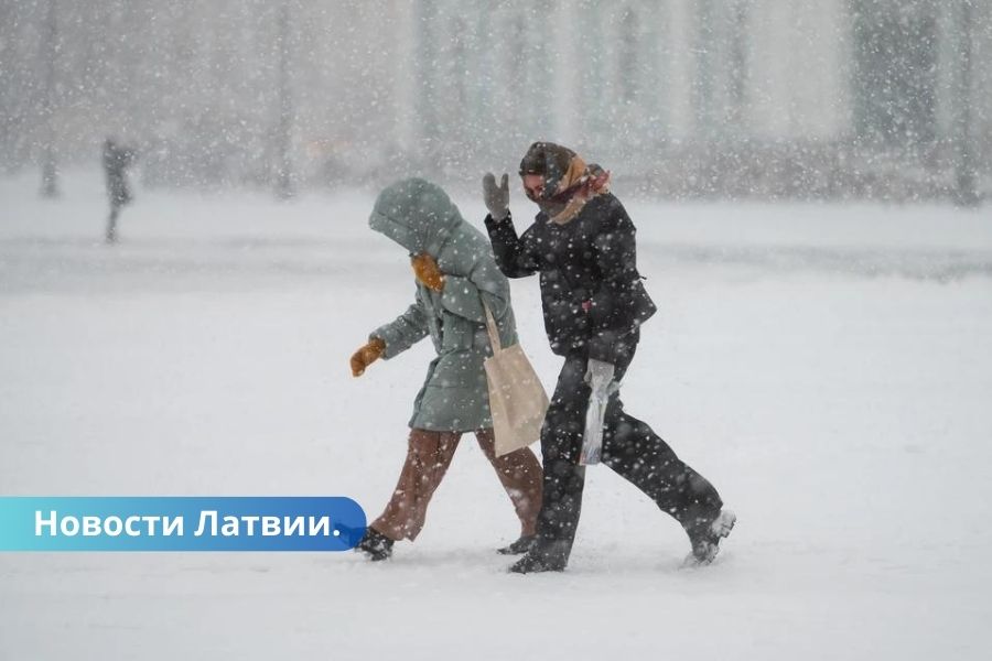 В пятницу ожидается сильный снег и метель с порывистым ветром.