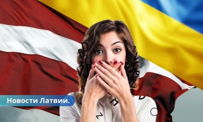 Как часто в Латвии проверяют украинцев и наказывают за незнание латышского