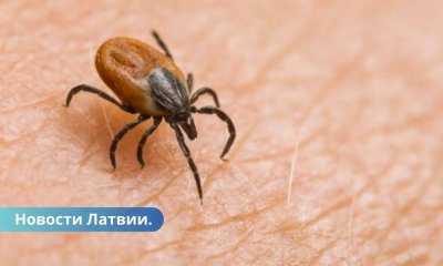 Кому в Латвии доступна бесплатная вакцина от клещевого энцефалита