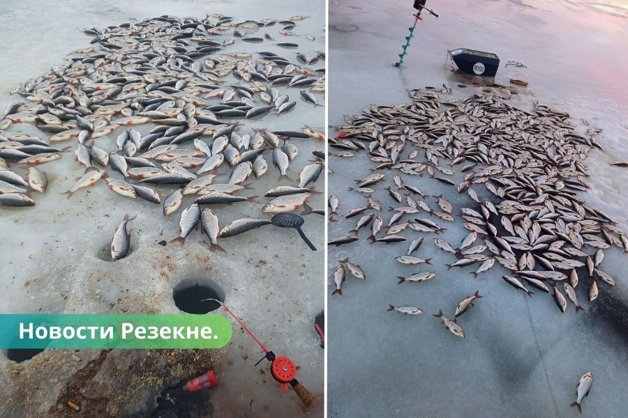 Рыбак из Резекне стал знаменит на всю прибалтику, он поймал 111 кг рыбы.