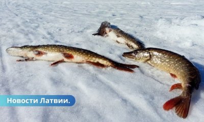 К сведению рыболовов вступили в силу ряд запретов. Какие