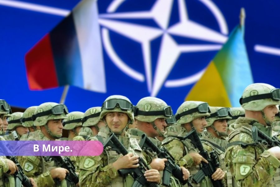 НАТО установила красные линии для вступления в войну в Украине.