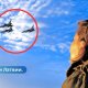 ВИДЕО ⟩ Дети боятся жителей беспокоят военные самолеты в небе Латвии.