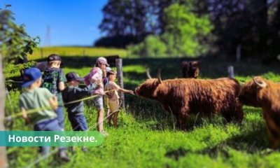 В Дрицанском объединении реализован зеленый проект.