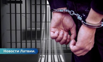 За растление детей и пытки над собакой мужчина приговорен к тюрьме.