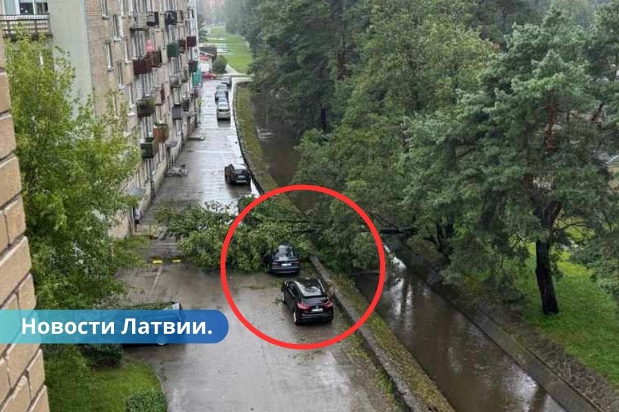 Синоптики: неутешительный прогноз погоды на ближайшее время.