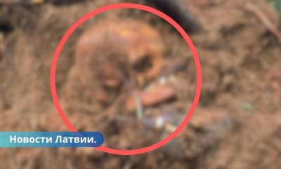 Под сломанным бурей деревом в Бауске нашли черепа и кости.