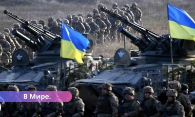 Украинские войска вторглись на территорию России. Что происходит?