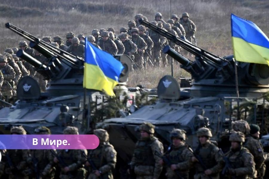 Украинские войска вторглись на территорию России. Что происходит?